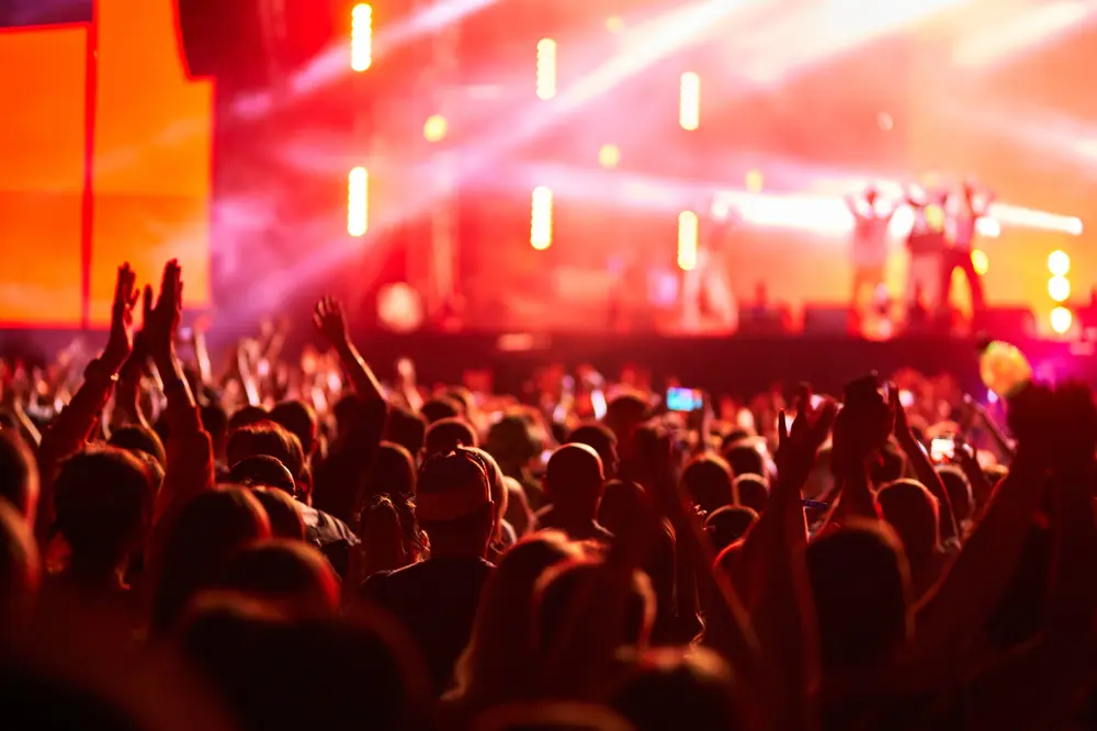Pubblico in un festival