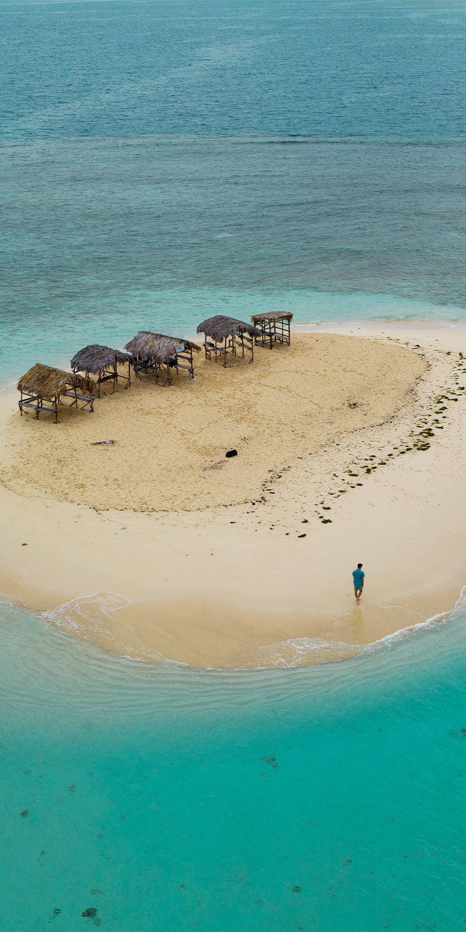 Buceo en la Pared de Sosúa