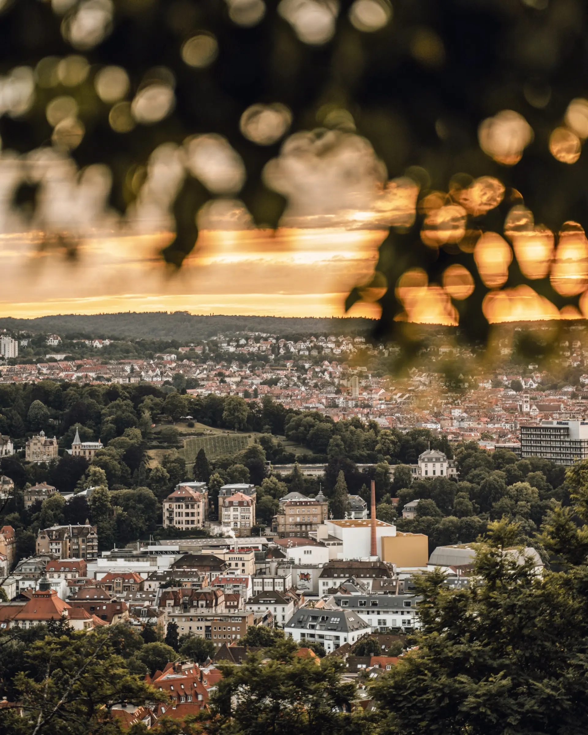 Un ultimo giorno per souvenir e un rientro sereno.