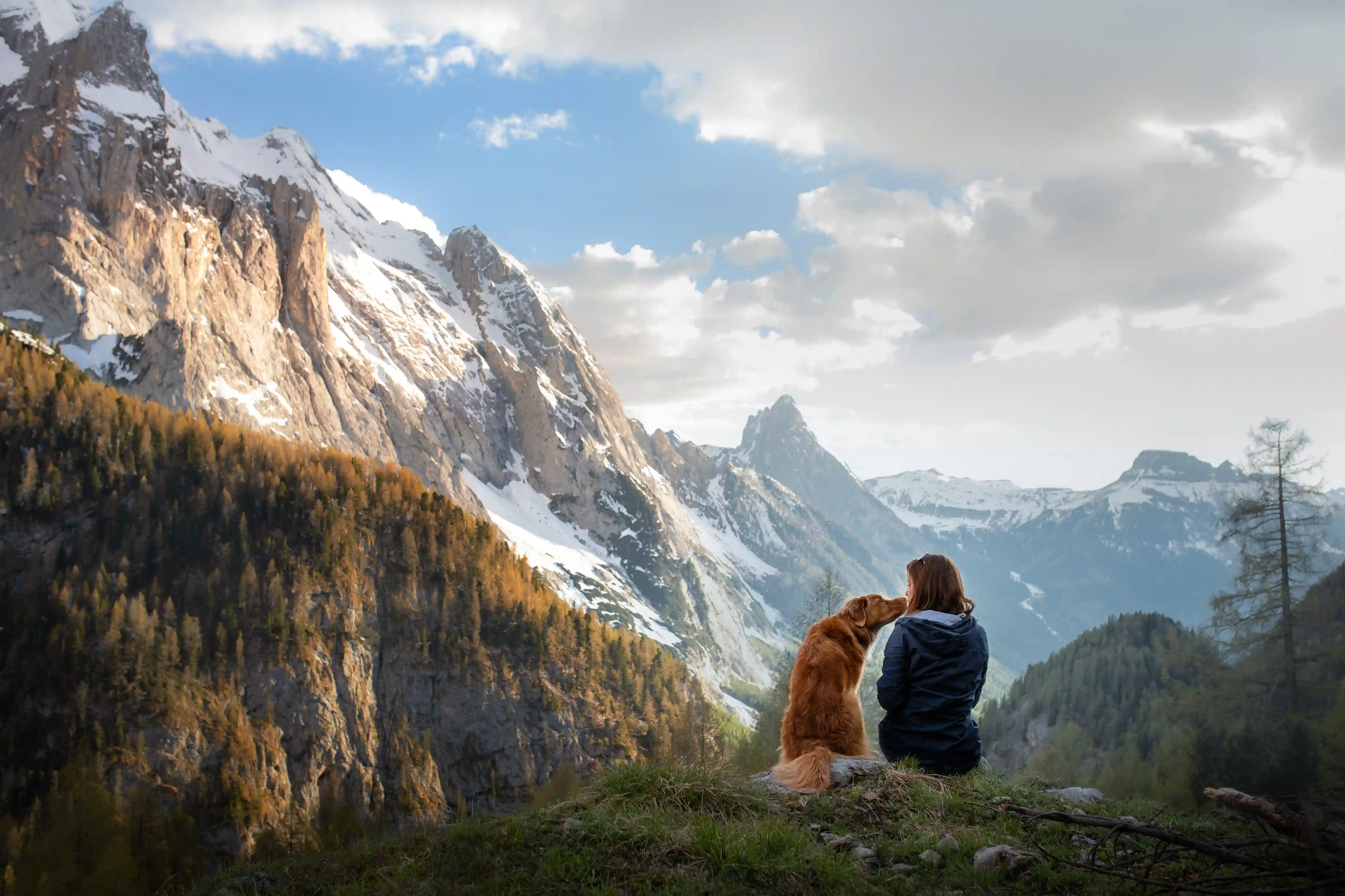 Volare con Animali | Regole & Consigli